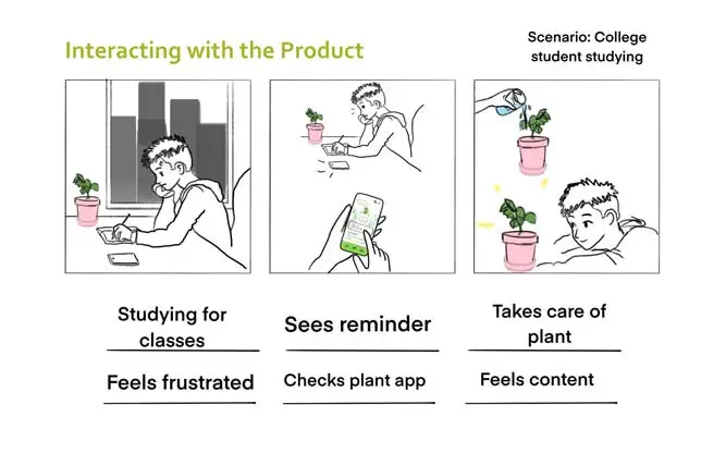 Best Fronds storyboard showing customer interaction with the product